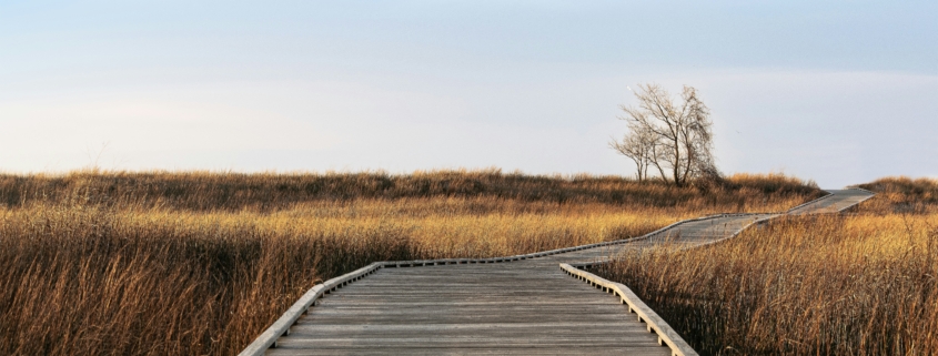Holzbrücke mit Horizont im Hintergrund