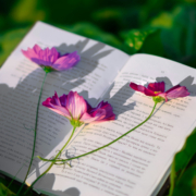 aufgeschlagenes Buch auf dem eine Blume mit 3 pinken Blüten liegt