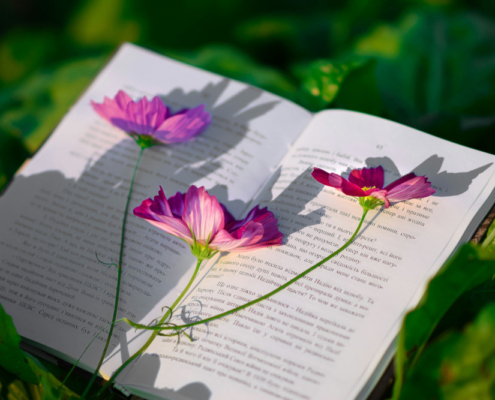 aufgeschlagenes Buch auf dem eine Blume mit 3 pinken Blüten liegt
