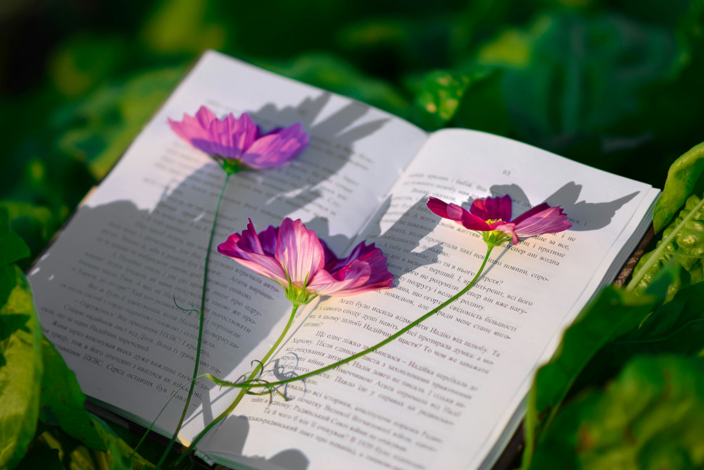 aufgeschlagenes Buch auf dem eine Blume mit 3 pinken Blüten liegt