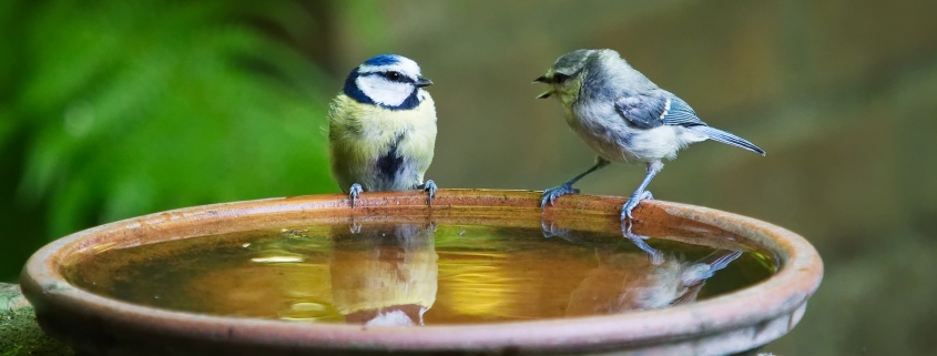 kommunikation gespräch