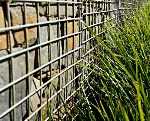 Steinmauer, Gras